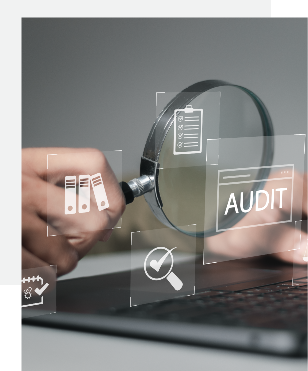 IT audit consultation